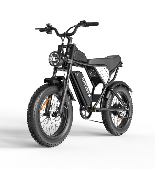 Biciclete electrice