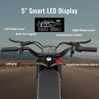 Bicicletă electrică off-road RidingTimes GT73 Pro