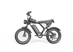 Bicicletă Electrică Fat Bike Rydestar C20 Lite, 48V 1000W, Baterie 15Ah, Anvelope late 20"x4.0", Viteză 48km/h, Frâne Hidraulice, Suspensie Dublă