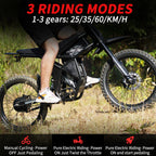 Bicicletă electrică off-road RidingTimes GT73
