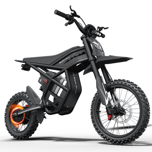 Motocicletă electrică RidingTimes GT54 Pro