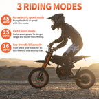 Bicicletă electrică off-road RidingTimes GT54