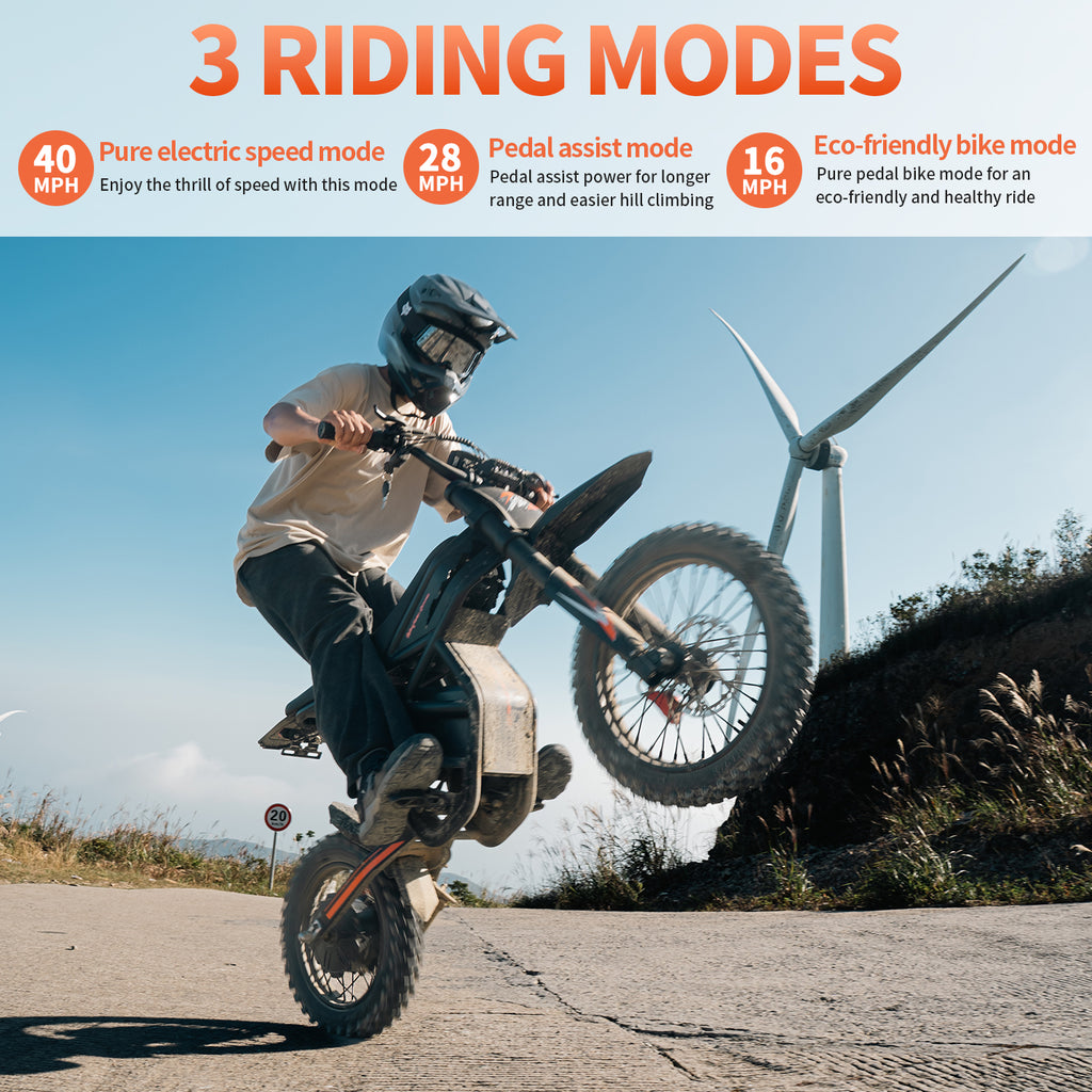 Motocicletă electrică RidingTimes GT54 Pro