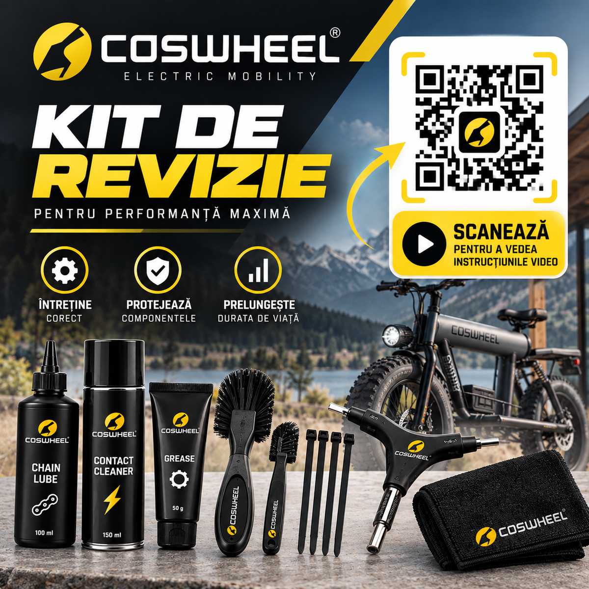 Kit de revizie la 6 luni – Coswheel