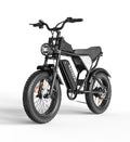 Bicicletă Electrică Fat Bike Rydestar C20 Lite, 48V 1000W, Baterie 15Ah, Anvelope late 20"x4.0", Viteză 48km/h, Frâne Hidraulice, Suspensie Dublă